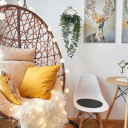 Miodowa Kazimierz * Krakow